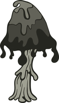 shaggy inkcap mushroom