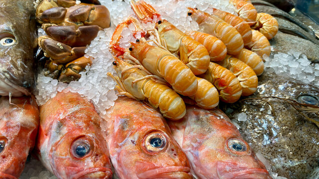 Fresh Fish and Langoustines Displayed on Ice at a Market