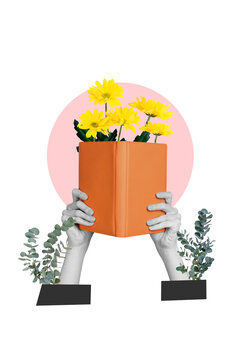 Vertical photo collage of hands hold book encyclopedia chrysanthemum flower bloom spring herbalist leaves isolated on painted background