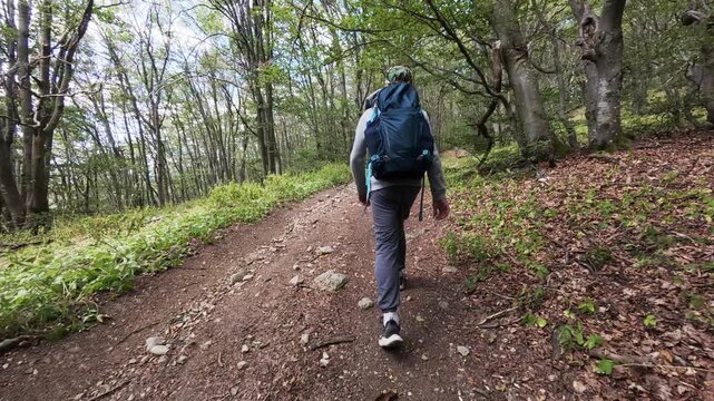 Boy with Backpack Walking Along a Trail in the Green Forest