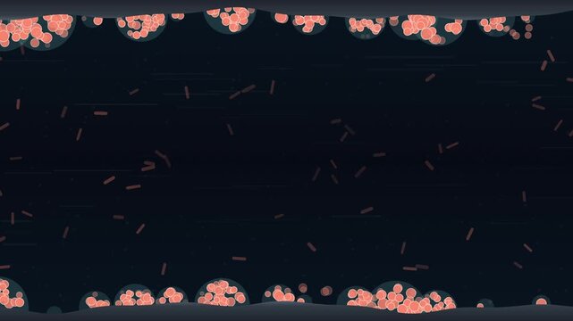 Bacteria adhering to a surface expanding into a biofilm seamless loop