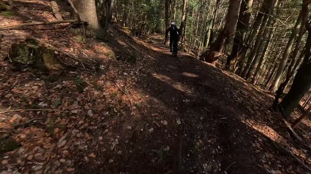 POV Mountain Biking Following Rider on Autumn Forest Singletrack