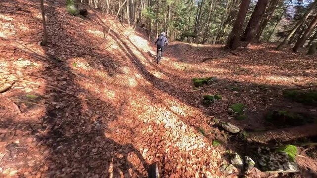 POV Mountain Biking Down Autumn Forest Trail Behind Another Cyclist