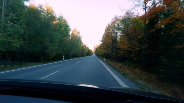 Timewarp POV Driving on Country Road Through Forest at Evening
