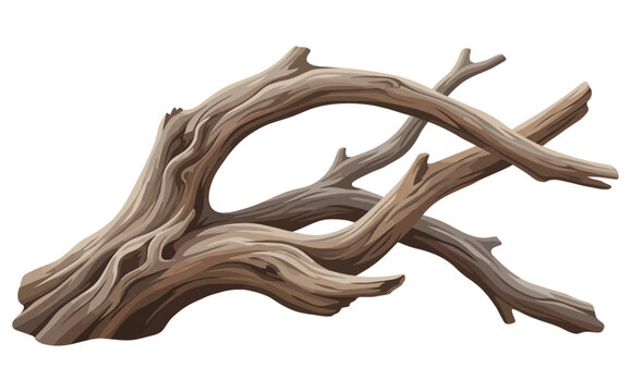 Natural driftwood sculpture isolated on white background for interior decor and aquascaping.