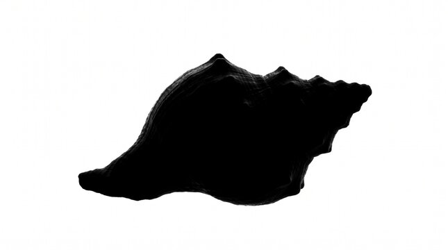 Black silhouette of a seashells sea snail isolated on white background