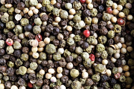 Marrakech pepper, close-up