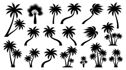 Naklejka premium Collection of various black palm tree silhouettes isolated on a white background
