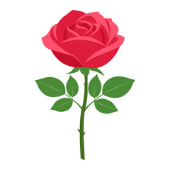 Obraz premium Red rose flower with green leaves and stem isolated on white background for graphic design