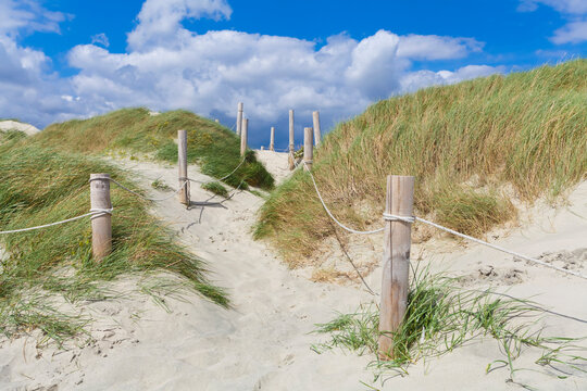 A sandy path leads through the dunes in West Wittering