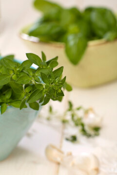 Oregano and basil in bowl, close-up