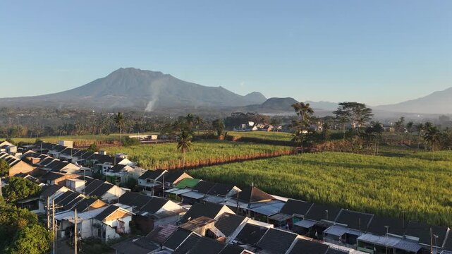 Aerial View of Residential Houses and Sugarcane Fields with Mountain Backdrop at Morning