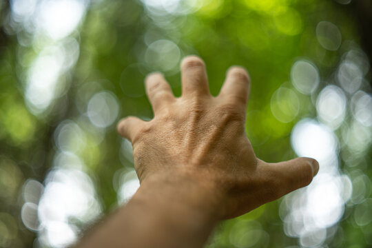 Human hand reaching up toward the light with blurred green forest background and soft bokeh circles in daylight