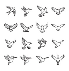 Naklejka premium Diverse bird silhouettes in flight during daytime with white backgrounds for graphic design elements
