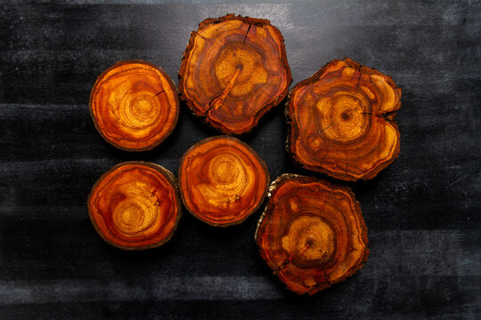 Wood log tree slices on black chalkboard. Flat lay. Top view