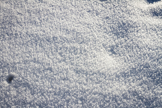 Natural winter backdrop featuring white snow texture. Winter white snow surface as background.