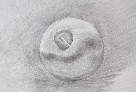 Graphic educational drawing of an apple hand-drawn with graphite pencils on whatman paper