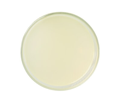 Glass of freshly squeezed lemon juice isolated on white background, top view . lemon juice in glass isolated, top view.