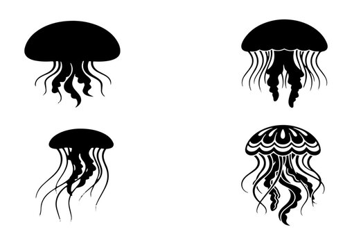 70 Four Black Jellyfish Silhouettes, Marine Life Vector Icons, Ocean Creatures Graphic Elements, Underwater Animal Illustrations 100