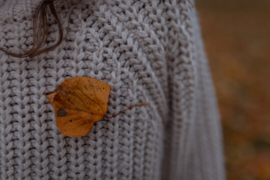 Vibrant autumn leaf resting on soft cozy grey knitted sweater. Warm, comfortable knitwear, nostalgia, comfort, hygge, transition into colder weather, lifestyle.