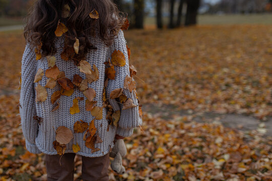 Rear view of young girl with long curly hair, wearing beige knitted sweater covered in fallen autumn leaves. Magical cozy essence of autumn, childhood innocence, connection with nature.