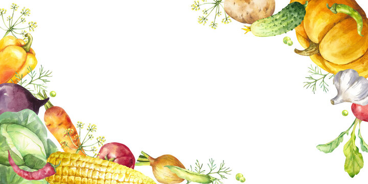  Watercolor fresh vegetables with copy space for text . Corn, potatoes, and peppers form a gentle frame. Multicolor hand-drawn harvest Perfect for eco fairs and markets or event invitations