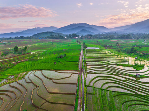 the beauty of the foggy morning panorama with sunrise and rice fields in Bengkulu, indonesia, asia
