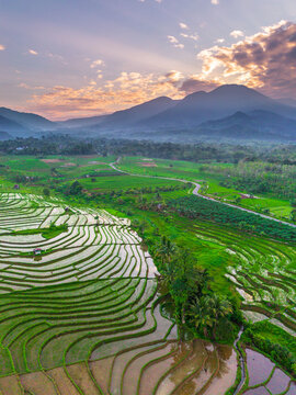 the beauty of the foggy morning panorama with sunrise and rice fields in Bengkulu, indonesia, asia
