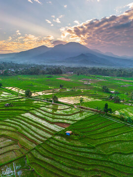 the beauty of the foggy morning panorama with sunrise and rice fields in Bengkulu, indonesia, asia
