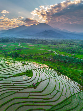 the beauty of the foggy morning panorama with sunrise and rice fields in Bengkulu, indonesia, asia