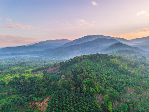 the beauty of the foggy morning panorama with sunrise and rice fields in Bengkulu, indonesia, asia