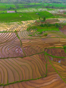 the beauty of the foggy morning panorama with sunrise and rice fields in Bengkulu, indonesia, asia