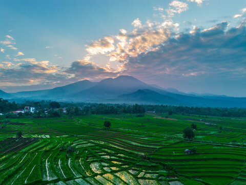 the beauty of the foggy morning panorama with sunrise and rice fields in Bengkulu, indonesia, asia