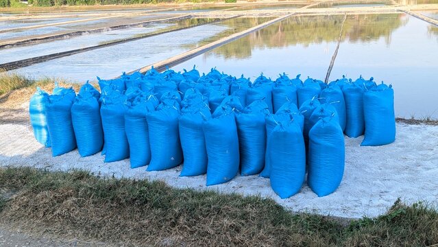 Blue Sacks Of Salt On Fishpond Edge Salt Farming Harvest Rural