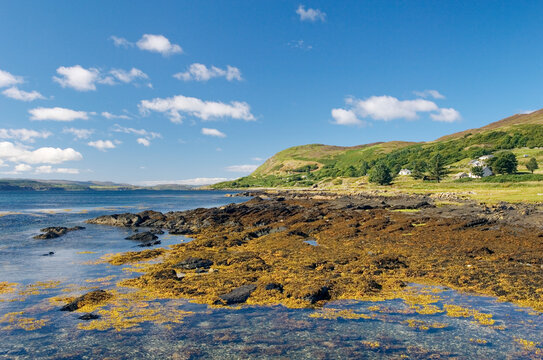 Kilchoan Bay on Ardnamurchan peninsula, west of Fort William. Tidal pools and seaweed on shore. Western Highlands, Scotland