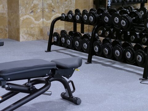 Adjustable Workout Bench Positioned Near Large Multi Tier Dumbbell Weight Rack Wide View of Professional Free Weights Area inside Modern Gym Interior