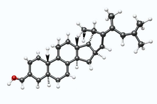 Cholesterol molecule scientific illustration with detailed fused rings
