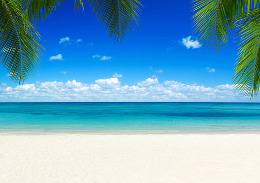 sea landscape.  beautiful beach and tropical sea