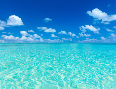 tropical beach in Maldives with few palm trees and blue lagoon