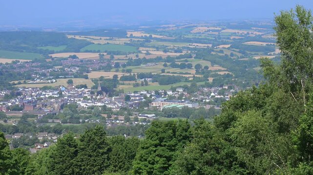 View behind Kymin forestry.
