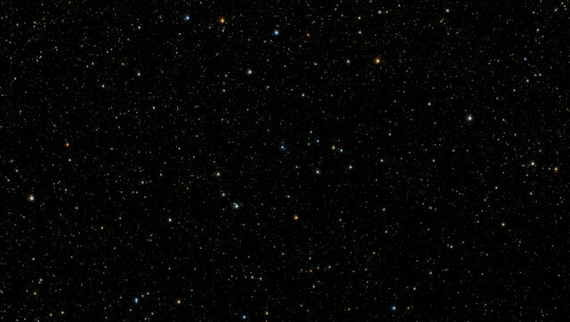 Dense Starfield
