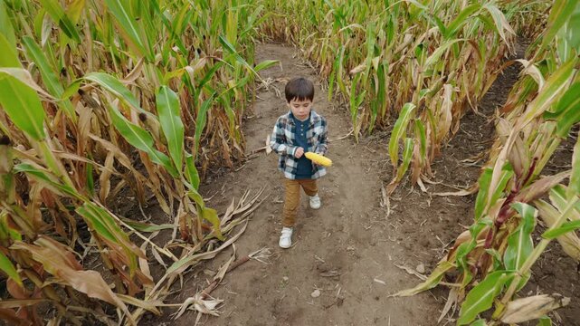 Asian Boy Examining Ear of Corn in Maze From Above