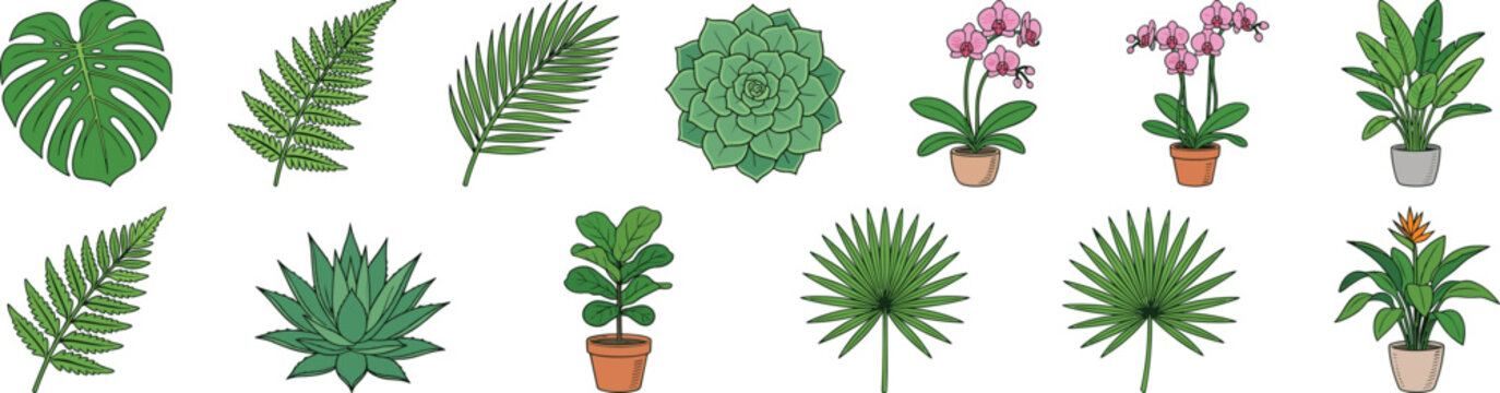 Tropical Houseplants and Leaves Collection Illustration Set