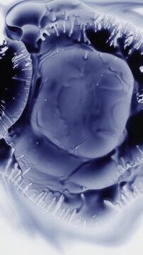 Blue Ink Spreading Across White Paper. Dark pigment forms branching abstract shapes as liquid ink soaks into paper.