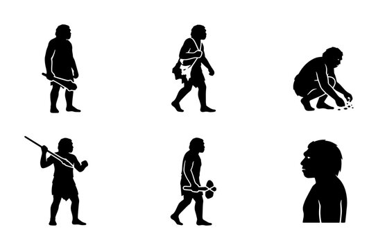70 Prehistoric Human Evolution Silhouettes, Ancient Ancestor Icons, Primitive Man Poses, Early Human Development Vector Set 100
