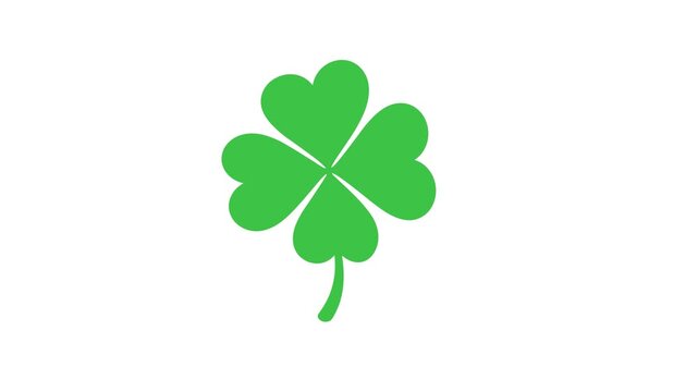 Clover animated green lucky four leaf shamrock gently swaying and floating for st patricks day on white background in 4k