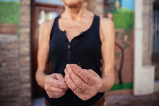 Close Up of Senior Woman Holding Small Paintbrush During Outdoor Creative Painting Project