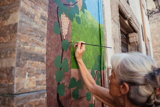 Senior Woman Painting Colorful Grape Vine Mural on Building Facade in Traditional Spanish Town