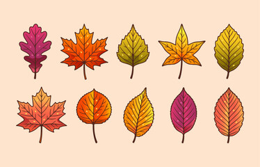 Fototapeta premium Set of autumn leafs decoration element