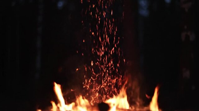 Mesmerizing Campfire Flames with Sparks Rising into the Dark Night Sky, Bonfire Burning